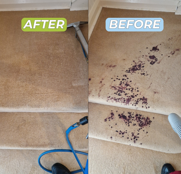 Carpet clean before and after