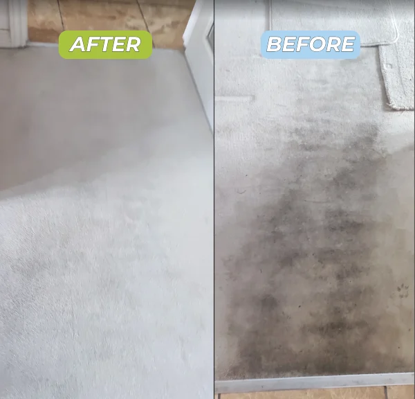 Dirty carpet before:after Carpet clean before and after
