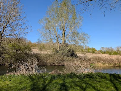 Nature reserve stony stratford carpet cleaning near Stony Stratford nature Reserve