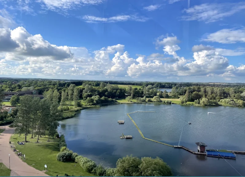 carpet cleaning near Willen Lake