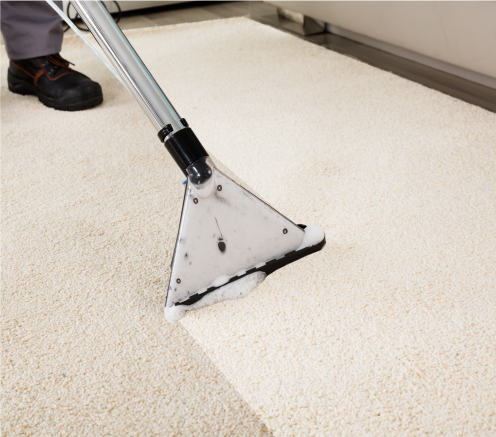 a member of our team cleaning a carpet in bedford